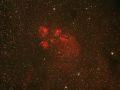 Un’impronta di gatto nella nostra Via Lattea